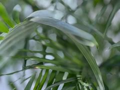 -老妈秘制兔头(春熙路店)