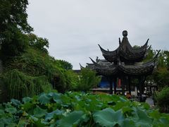 -佬钱湾仔(衣裳街店)