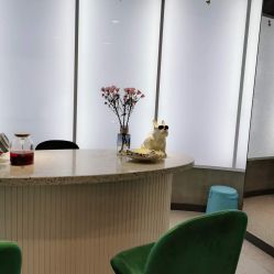 -PE SALON