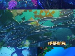 -海合安武汉极地海洋公园