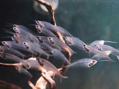 -太平洋海底世界