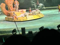 -广州长隆国际大马戏