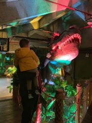 -恐龙探索乐园(磁器口店)