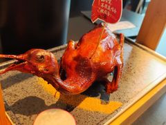 -羽鸽集·乳鸽专门店·地道顺德菜(岭南站店)
