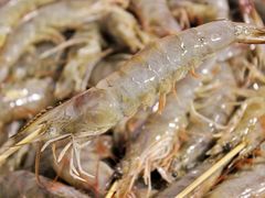 -醉烧膘·烧烤夜宵王(总店)