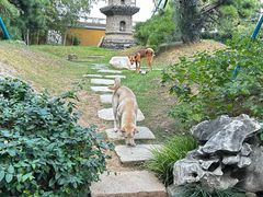 -龙华寺