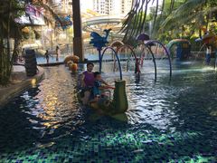 -亚马逊丛林水乐园