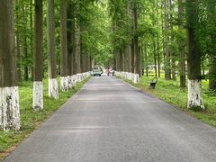 -黄海国家森林公园