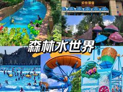 -苏州乐园森林水世界
