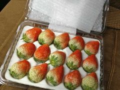 -西北农副产品中心批发市场(广安路店)