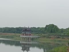 -官亭林海