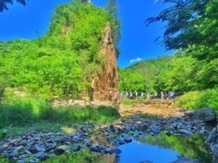 -日照海滨国家森林公园