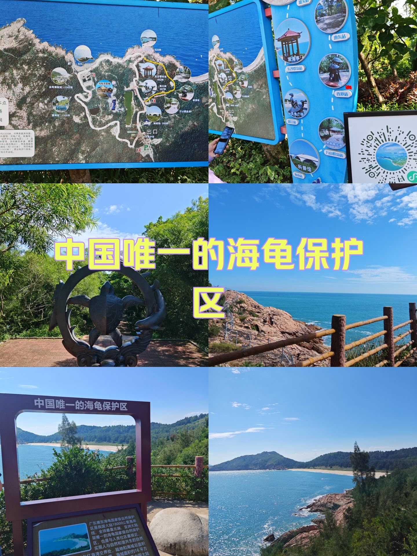 惠东海龟湾,中国唯一的海龟保护区