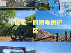 -广东惠东海龟国家级自然保护区