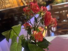-Mezomd曼索蒂西班牙餐厅(广粤店)