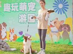 -趣玩宠物乐园寄养训犬训狗游泳池