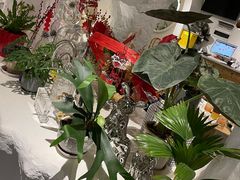 -麓椿花园西餐厅(海乐世界店)