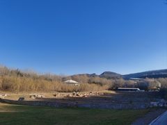 -青藏高原野生动物园