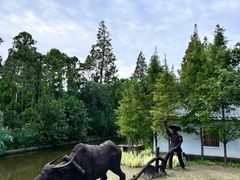 -上海长兴岛郊野公园