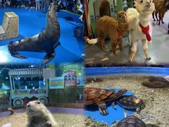 -顺德南宏海立方海洋公园