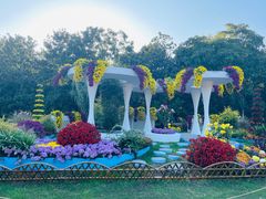 -上海共青森林公园