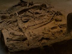 -北京大葆台遗址博物馆