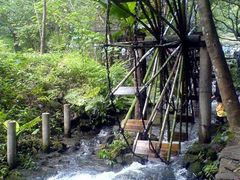 -德庆盘龙峡生态旅游区