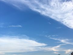 -顺德了能馆(虎门店)