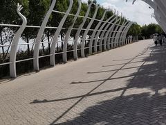 -南大港湿地风景区