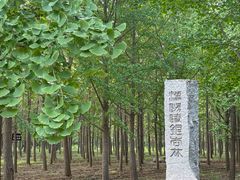 -汉景帝阳陵博物院