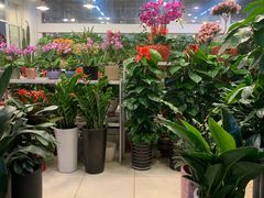 -双季花艺园艺市场(浦东店)