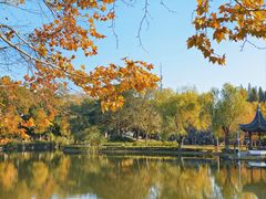 -泰州凤城河风景区-泰山公园