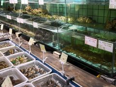水产区-海岛渔村大酒店(云霄路店)