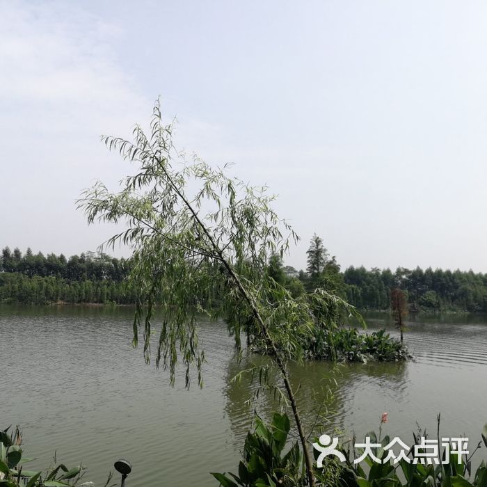 華陽湖溼地公園