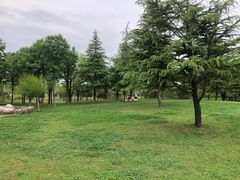 -洨河生态公园