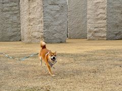 -上海月湖雕塑公园