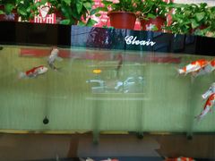 -老六杀猪菜(进乡街店)