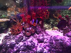 -沈阳海洋探索中心