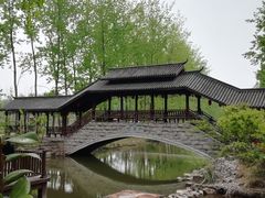 -合肥滨湖国家森林公园