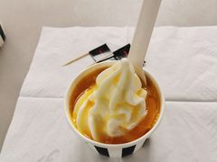 -JW德国冻酸奶Frozen Yogurt(龙湖成都滨江天街店)