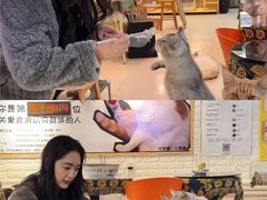 -平行世界·猫咖(首经贸店)
