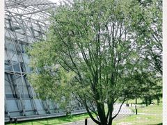 -北京植物园-展览温室