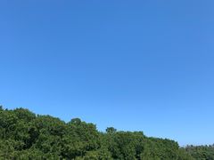 -大湾区中央湿地公园