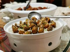 海螺-凤凰楼酒家·粤宴点心(华强北店)