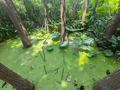 -云龙湖旅游景区