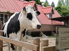 -神户市立六甲山牧场