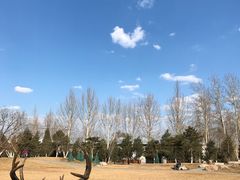 -北京麋鹿生态实验中心