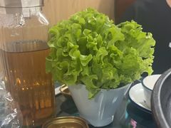 -牛犇烤肉(物资学院路店)