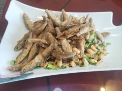 -胖大姐黄辣丁鱼庄(新津店)