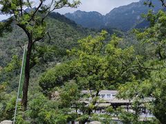 -偏爱炒鸡(老县衙店)